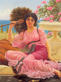 Flabellifera